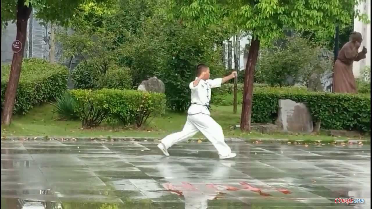 王驰宇同学表演形意拳杂式捶